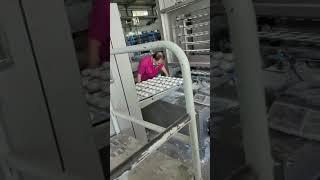 First time in-house testing of the BP1200 flour tortilla line large tortilla production line factory
