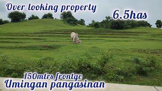 lot#350 overlooking property 120/sqm only. 6.5has 150 mtrs frontge  brgy semented road umingan pang.