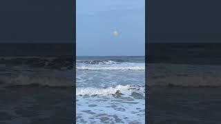 The Moon Shining Brightly over Peters Point Park in Amelia Island, Florida #shorts