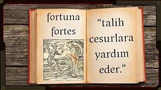 Fortuna Fortes: Talih cesurlara yardım eder (mi)!?