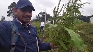 Visita centro Marengo CP  Herbología y alelopatía