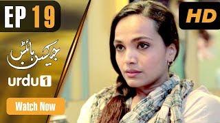 Jackson Heights - Episode 19 | Urdu 1 Dramas | Aamina Sheikh, Adeel Hussain