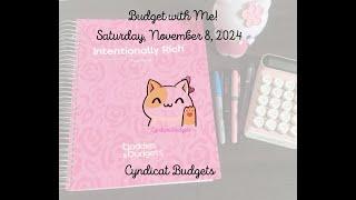 Budget with Me! Going over my November budget in my new budget planner!!