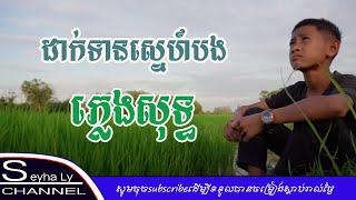 ដាក់ទានស្នេហ៍បង ភ្លេងសុទ្ធ| dak tean sne bong karaoke | ស្ដាយ​ ផារិន