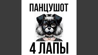 4 лапы