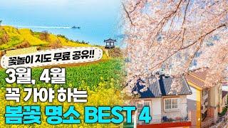 3월,4월에 가볼만한 봄꽃 여행지 BEST 4 | 개화 시기, 교통편, 포토존 꿀팁까지 | 부산 오륙도, 남해 다랭이마을, 경주, 진해 군항제 | 국내여행, 데이트코스 추천