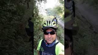 Riding the jungle on a bicycle