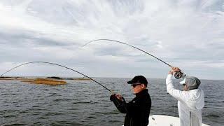 Fly Fishing for Striped Bass and Speckled Trout on the Chesapeake Bay