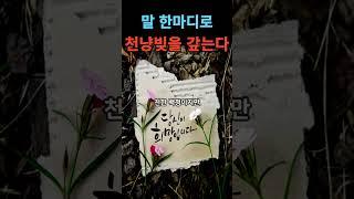 말 한마디로 천냥 빚을 갚는다/ #지혜 #인생#history