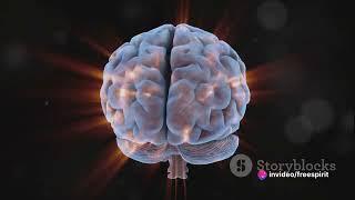 Cortex  The Curious Conductor of the Brain