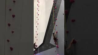 Stella and Jojo Speed Climbing 8/24/19