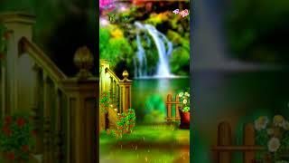 New Template Video || Back Ground Video || #templetvideo Vijay Tech Mind ||