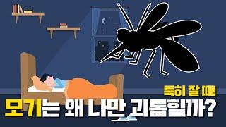 사람들이 잘 모르는 모기에 대한 흥미로운 사실들