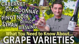 WINE 101: What are Grape Varieties?