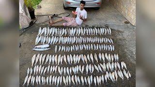 We Landed on The Bank‼️ Salmon Feeding Frenzy‼️ #fishing #caribbean #trinidadandtobago