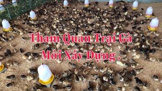 Xây dựng trang trại gà, Nông Trại Hoa Kiều