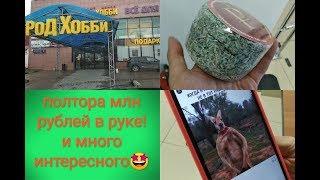 Где покупать монеты банкноты в Москве город хобби 2020 одно из лучших мест для коллекционеров