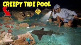 Exploring CREEPY TIDE POOLS At NIGHT!!