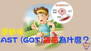 運動後 AST （GOT）飆高為什麼？｜好心肝˙好健康