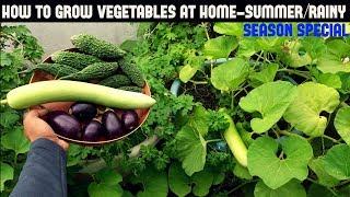 How To Grow Vegetables in Containers-Summer/Rainy Season Special