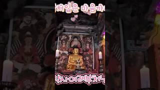 상처입은 마음까지 치유~~  자신에게 잘 버텼다고 말해 줘! 넘어져도 다시 일어나~