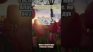 Молитва за смелость идти вперёд #смелость #путь #Божьяволя