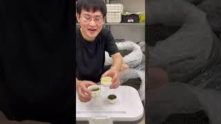 Mua Trà Ngon Tặng Trà Ngon Hơn