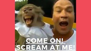 COME ON! SCREAM AT ME!  l Crazy Fun l Funny Videos 