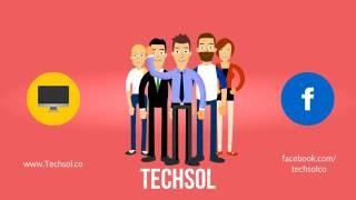 Techsol (Digital Marketing agency)