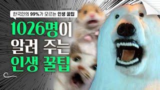 1026명이 알려주는 인생 꿀팁