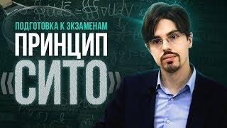 Как успеть подготовиться к экзаменам и ничего не забыть? Принцип "Сито". 6+