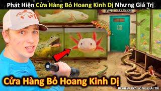 Phát Hiện Cửa Hàng Bỏ Hoang Cực Kinh Dị Nhưng Giá Trị Không Ngờ || Review Giải Trí Đời Sống