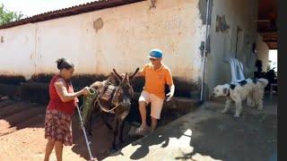 bastidores  !! Seu Mané comprou um jumento pra carregar água  !!