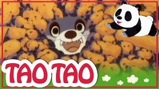 Tao Tao - 6 -  השמועה הגדולה