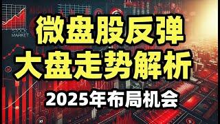 A股收评：微盘股与大盘走势解析 | 投资策略与2025年布局机会