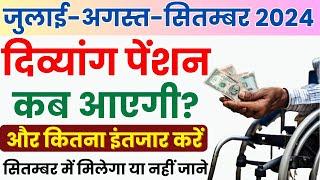 July August September ki Divyang pension Kab Aaegi | New UP Divyang pension kab milegi 2024