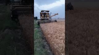 Preet 987 harvester top model #trending #automobile #farmequipment #farming #harvester #harvest #new