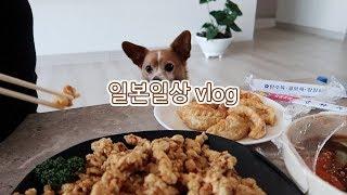 호텔에도 가고 부산에도 잠깐 간 일본 일상 브이로그 | 일본일상vlog