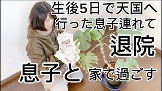 【閲覧はご自身の判断で】生後5日で天国へ行った息子と一緒に退院‼︎家の中を案内して一緒に過ごした‼︎#帝王切開#妊婦