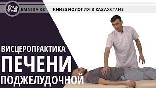 Восстановление почки, печени и поджелудочной. Висцеропрактика.