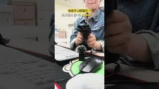 회사에서 ASMR 몰래 하기
