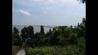 Александр Сафонов - Море