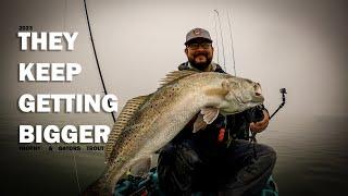 2023 Trophy & Gator Speckled Trout Kayak Fishing