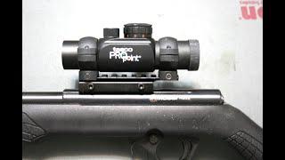 Rossi RB22 Bolt Gun and Rossi RS22 Semi-Auto 10Y Indoors; Red Dot vs low power scope.