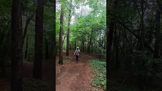 천극산등산로#힐링등산#행복여행#푸른숲#슈키의공방