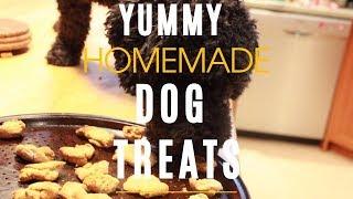 Homemade Dog Treats - Healthy and Yummy!