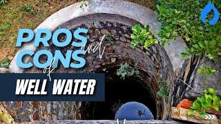 What Are The Pros And Cons Of Well Water? [Compared To City Water]