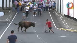 Tourada à corda na Vila Nova, ilha Terceira. Toiros de RB, 29.08.2022