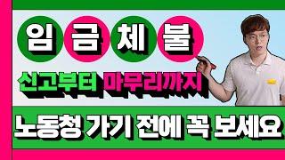 임금체불 노동청 진정 절차와 노동청에서 해결되지 않을 경우 대응 방법
