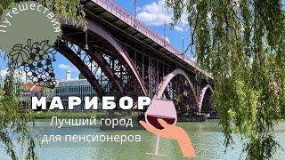 Марибор - лучший город для пенсионеров | Уютная Словения